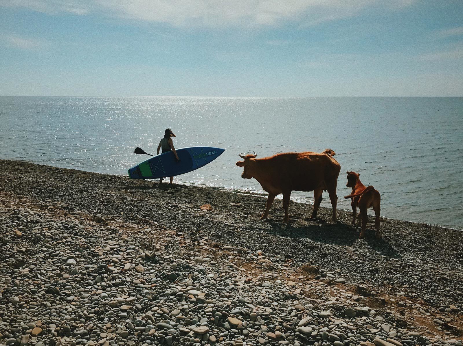julia-karpacheva-paddleboarding-russia-black-sea-copws-on-the-seaside