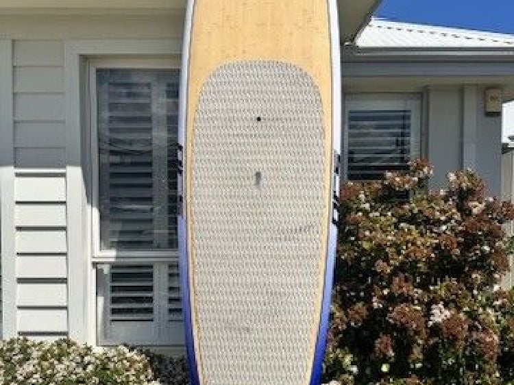 Ocean Critters - 10' 0"